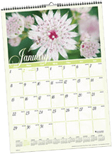 Gardending Calendar for the Victoria Texas Area