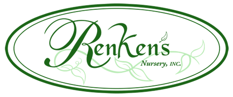 Renken's Nursery & Landscaping in Victoria TX